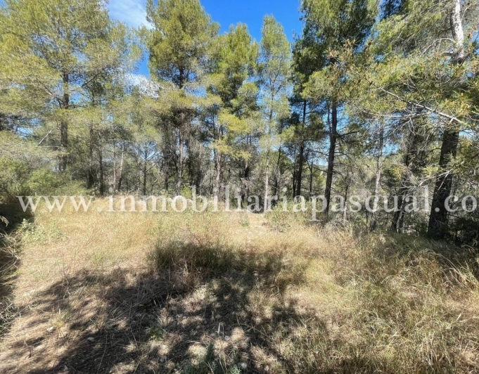 CASA DE CAMPO EN VENTA EN MURO-AGRES