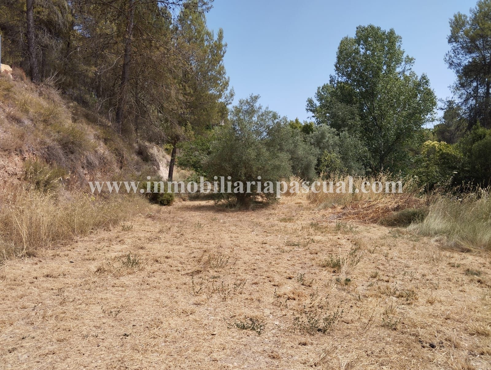 Terreno en venta en El Sargento