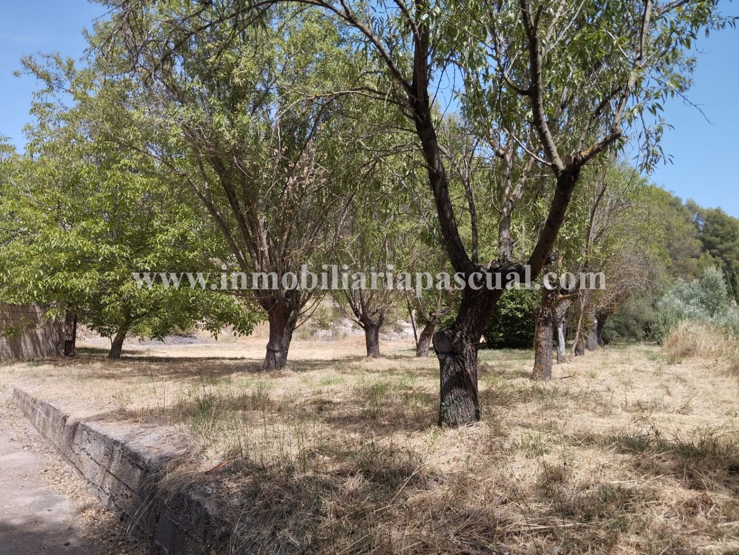 Terreno en venta en El Sargento
