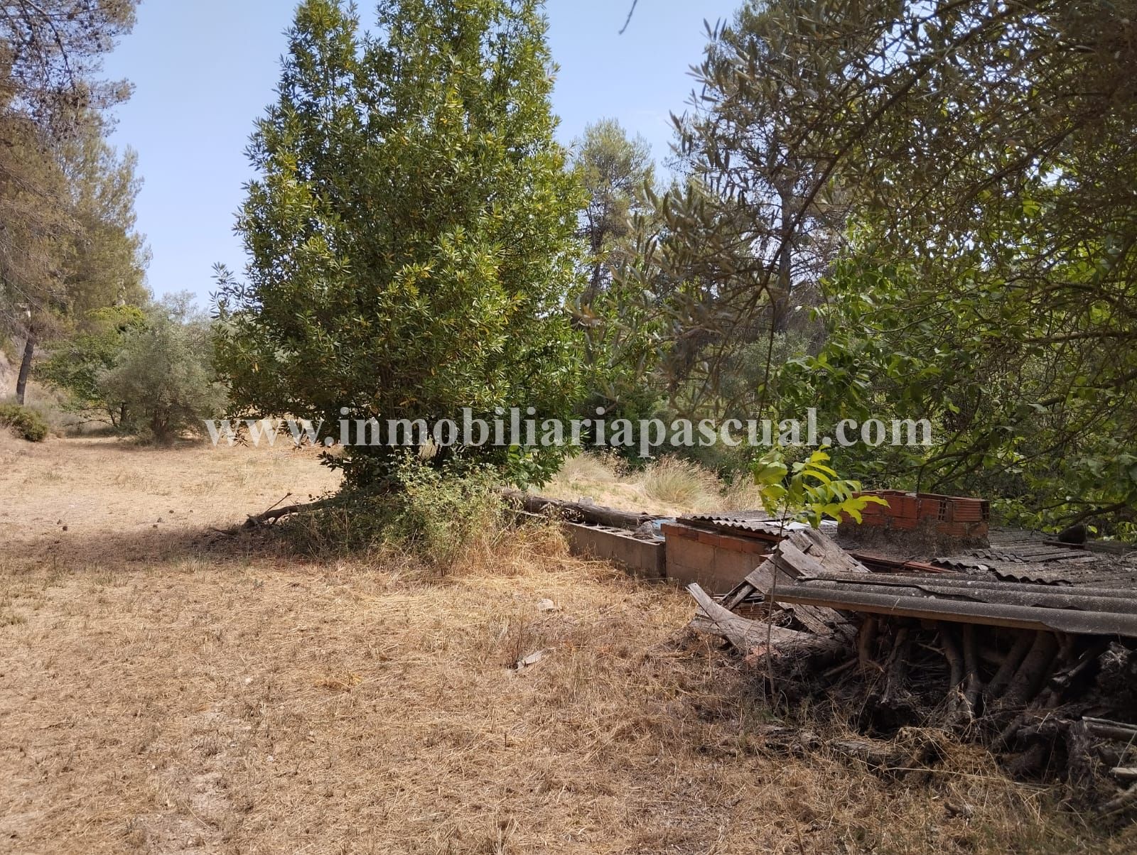 Terreno en venta en El Sargento