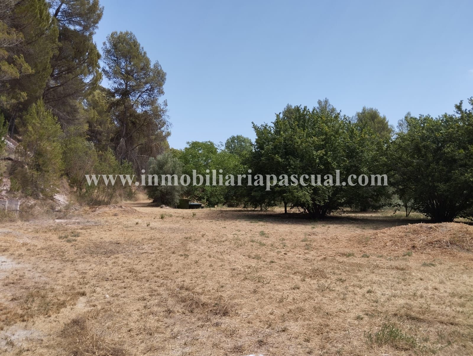 Terreno en venta en El Sargento