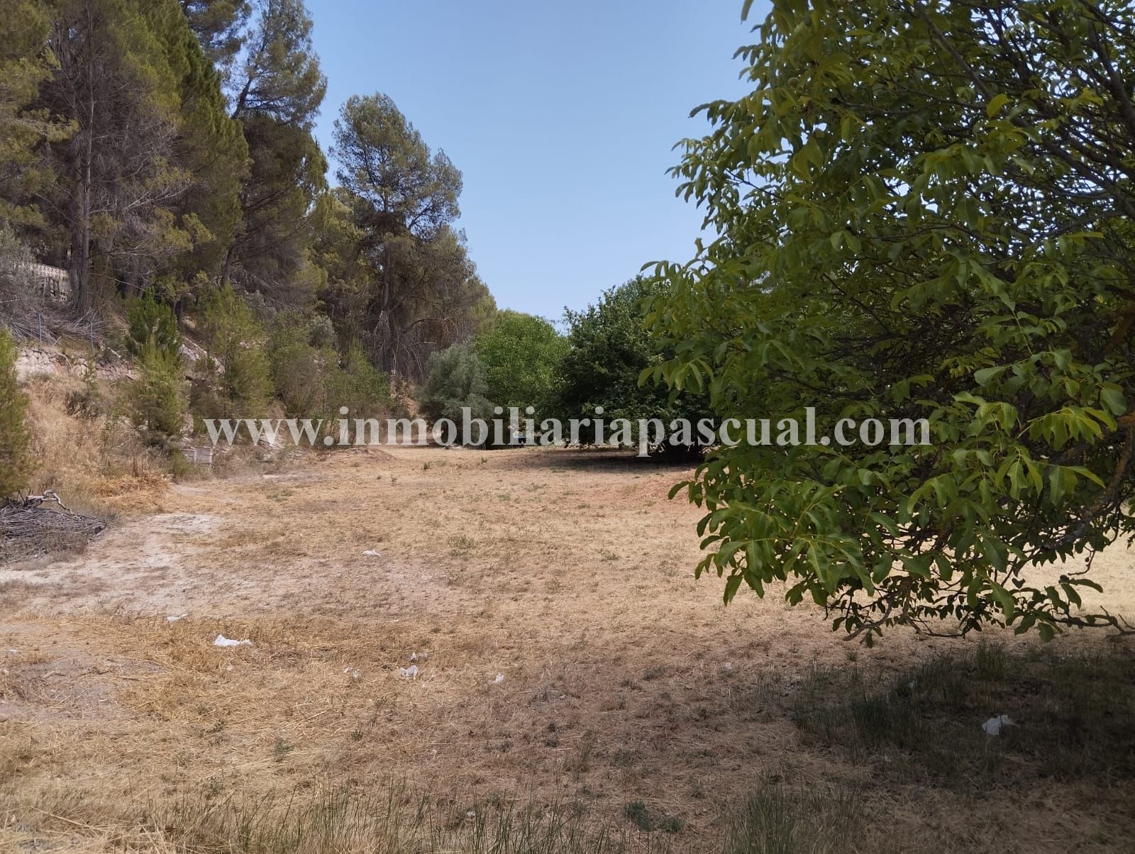 Terreno en venta en El Sargento
