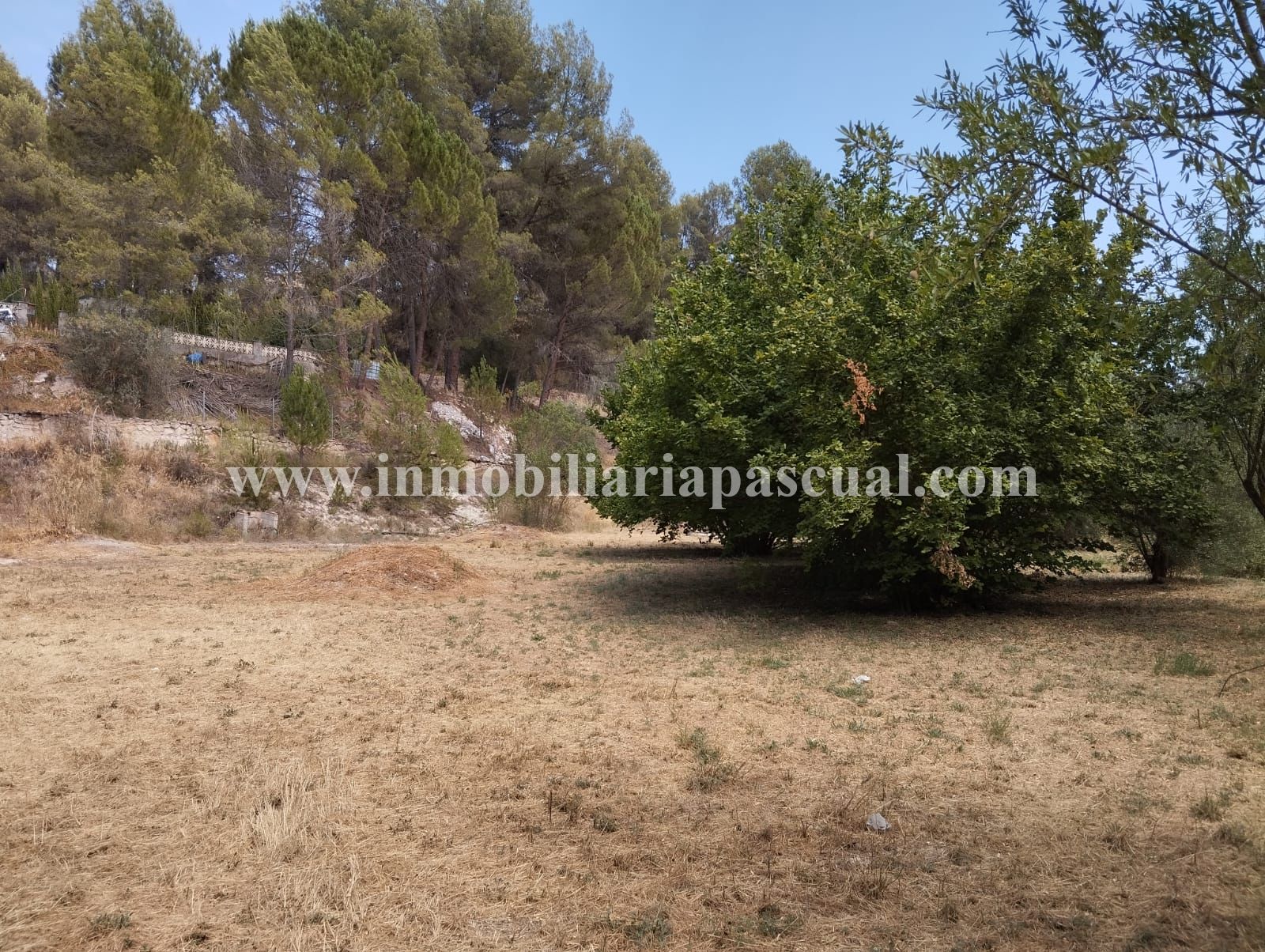 Terreno en venta en El Sargento