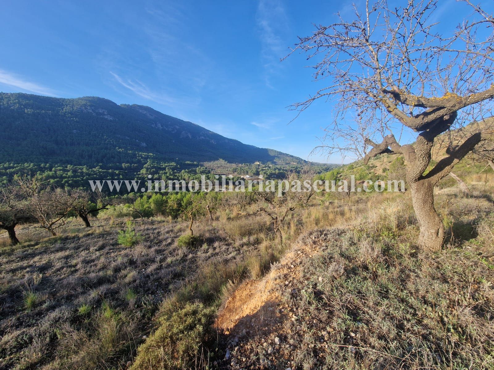 COUNTRY HOUSE FOR SALE IN MURO DE ALCOY