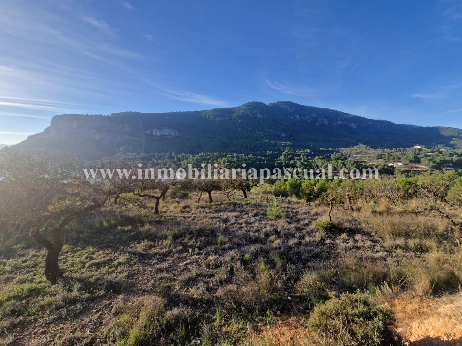 COUNTRY HOUSE FOR SALE IN MURO DE ALCOY