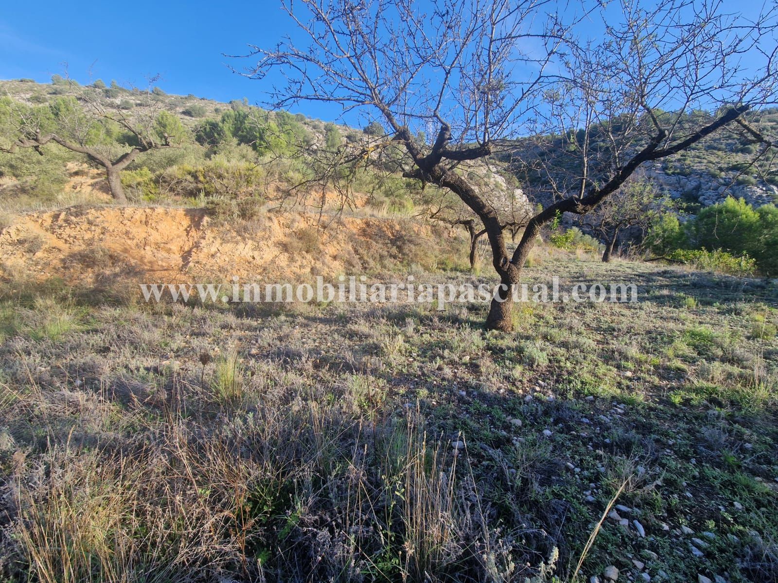 COUNTRY HOUSE FOR SALE IN MURO DE ALCOY