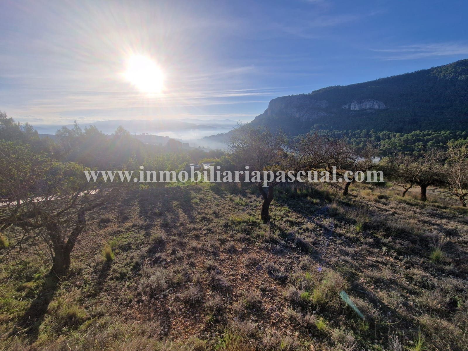 COUNTRY HOUSE FOR SALE IN MURO DE ALCOY