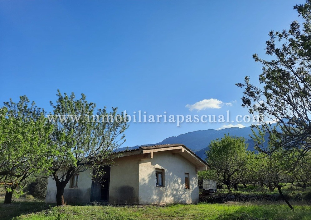 COUNTRY HOUSE FOR SALE IN LA PLANA DE MURO