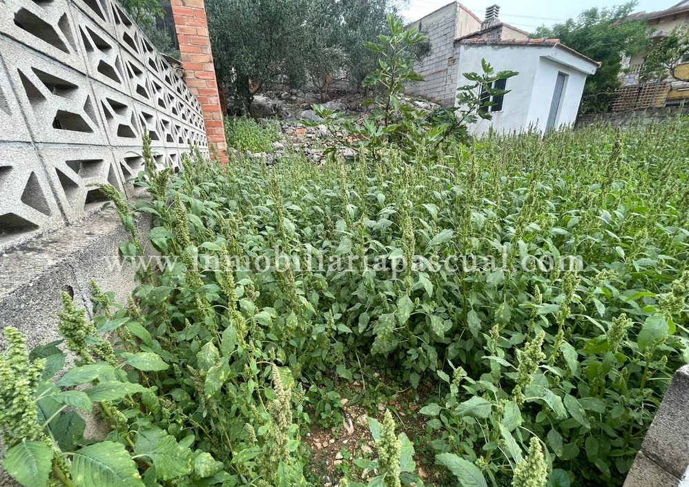 COUNTRY HOUSE FOR SALE IN LORCHA